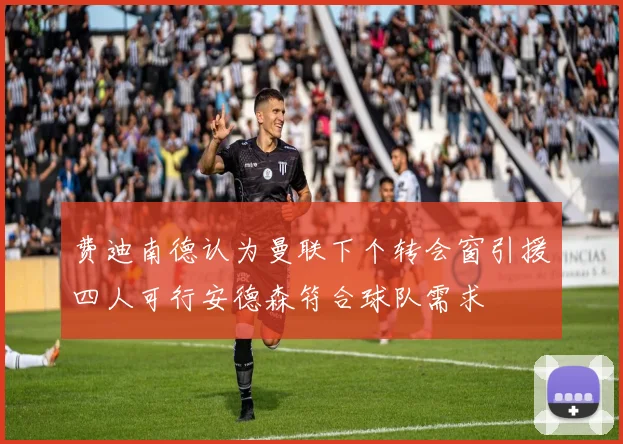 费迪南德认为曼联下个转会窗引援四人可行安德森符合球队需求